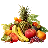 Thumbnail for Fruits, Vegetables & Vegetarian Foods