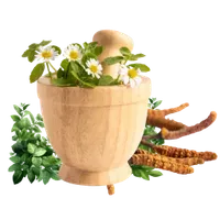 Thumbnail for Medicinal Plants, Flower & Leaves