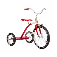 Thumbnail for Bicycles, Tricycles, & Manual Scooters