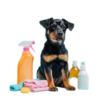 Thumbnail for Animal & Pet Care Products & Supplements