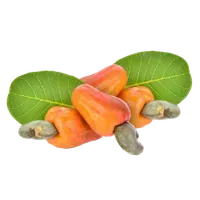 Thumbnail for Fruit & Nut Plants