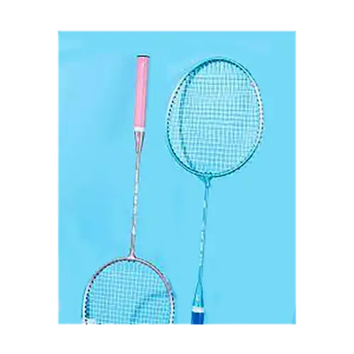 Badminton658