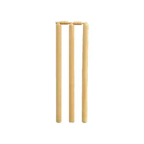 Stumps Cricket