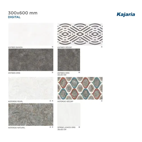 Kajaria Digital Ceramics Tiles 300x600mm