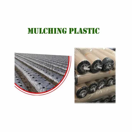 Mulching Plastic for Agricultural Purpose