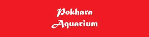 Pokhara Aquarium - Cover