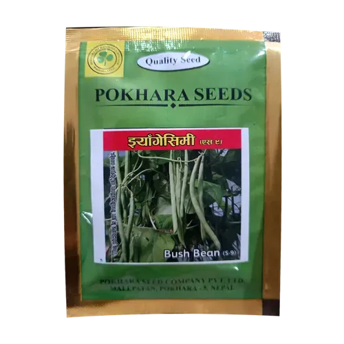 Pokhara Seeds Bush Beans S-9