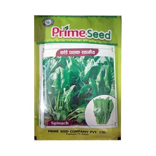 Prime Seeds Spinach Seed / Palak Seed