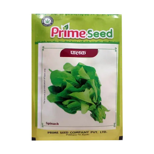Palak Seed | Spinach Seed