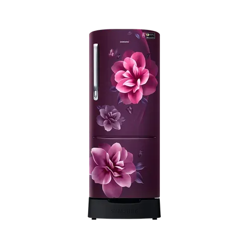 Samsung Single Door Refrigerator, 192L RR22T282ZCR