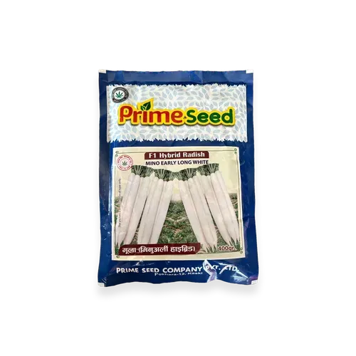 Hybrid Radish Seed