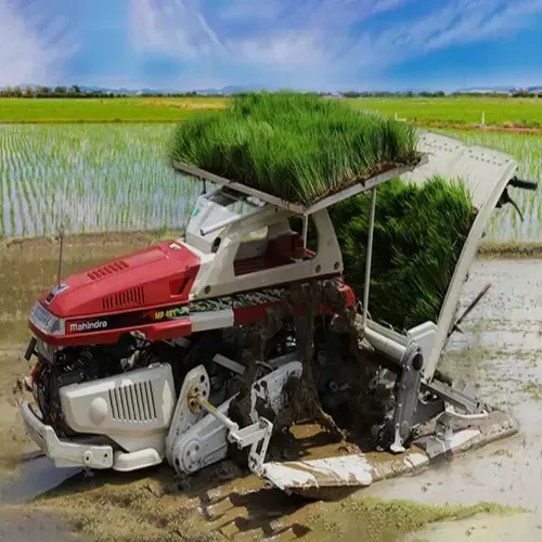 Rice Transplanter Agricultural Machinery