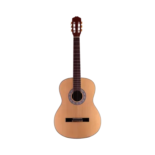 Hertz HZ C100 Acoustic Guitar