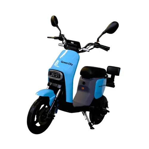Green City S2 Electric Scooter