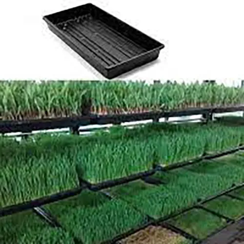 Hydroponic Tray | Agricultural Equipment