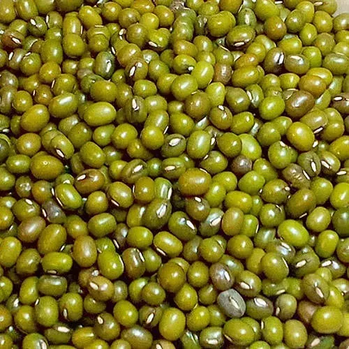 Green Moong Dal Seed