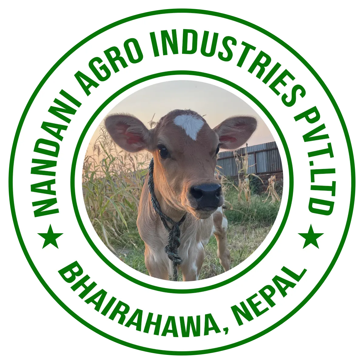 Nandani Agro Industries Pvt.Ltd